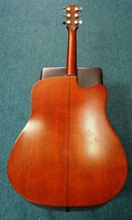 FDG10CE2