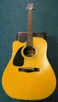 Fender Acoustic Electric Guitar