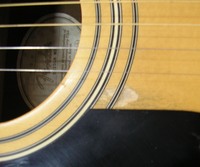 FDG10 2