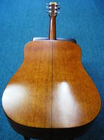 FDG10 2