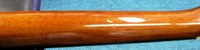 FDG10 2