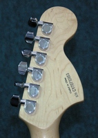 FSASSB2