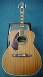 Fender Tim Armstrong Hellcat