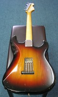 FWS