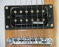 GCNat
