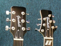 GLDN66