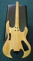 GSAGEsp