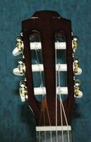 HC03
