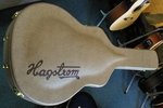 Hagstrom Guitar Case