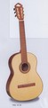 Hofner Classical Guitar