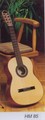 Hofner Classical Guitar