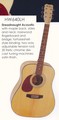 Hohner Acoustic Guitar
