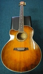 Ibanez AEL Guitar