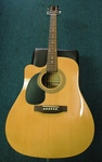 Johnson Acoustic Electric Guitar