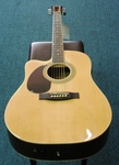 Johnson Acoustic Electric Guitar