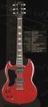 J and D SG style guitar