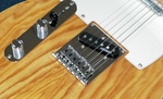 J and D Tele Style Guitar