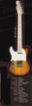 J and D Tele style guitar