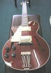 Johnson Electric Guitar