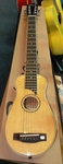 Johnson Traveller Guitar