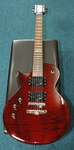 ESP EC100QM