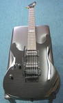 ESP LM 100