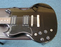 LSG