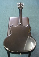 LSG