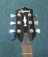 LSG