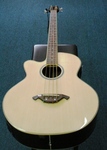 Martinez Acoustic Electric Bass