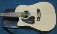 MAE12A