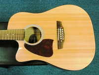 MAE12Arpr