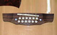 MAE12Arpr