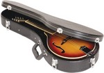 Mandolin Case