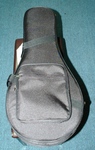 Mandolin Case