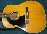 MCW100