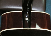MCW100
