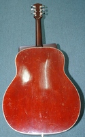 MCW100