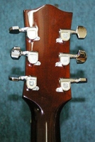 MCW100
