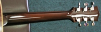MCW100