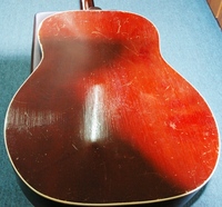 MCW100