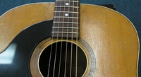 MCW100