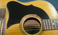 MCW100