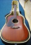 Maton Coolibah