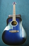 Martinez Acoustic Guitar