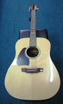 Martinez Acoustic Guitar