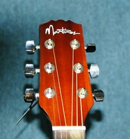 MDC31nat