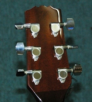 MDC31nat