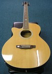 Martinez Acoustic Electric Guitar