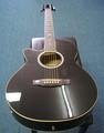 Martinez Acoustic Electric Guitar